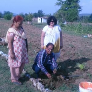 Plantation5