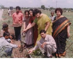Plantation_at_Village_Khajuri_Kalan