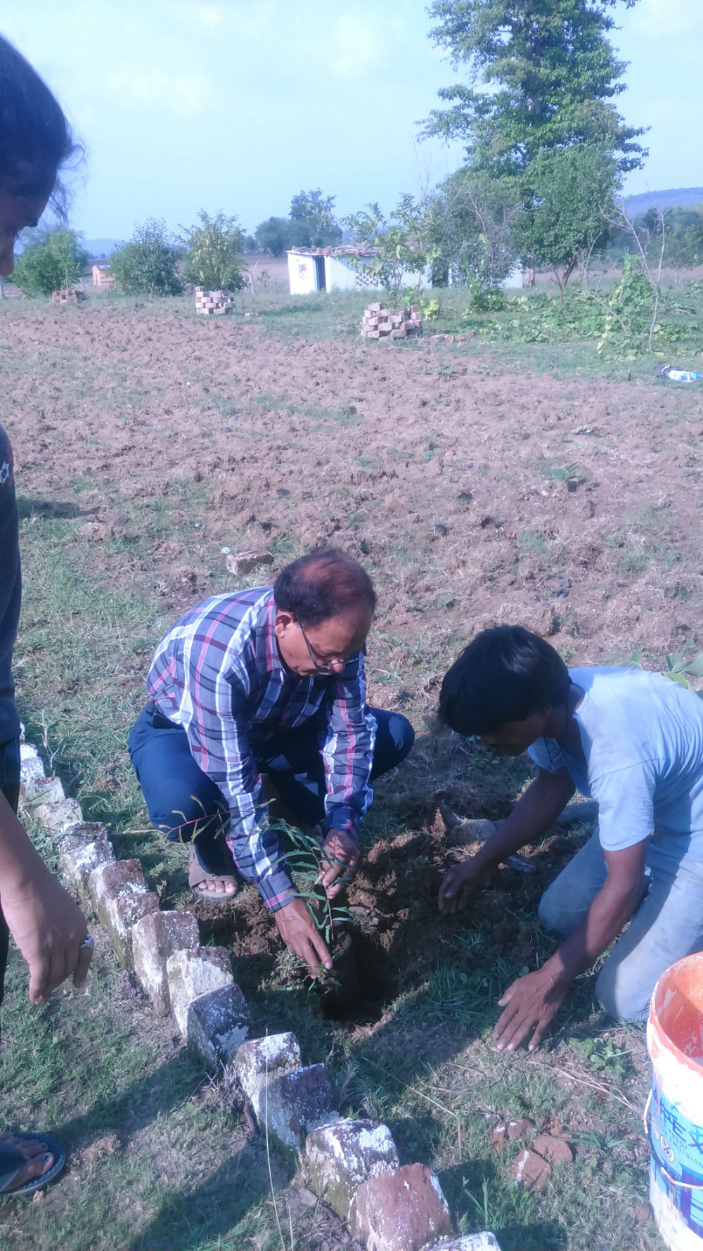 plantation4